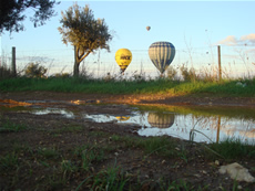 Hot Air Balloon Rides in Avis In Portugal