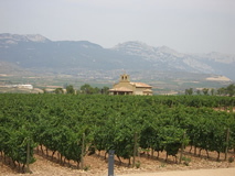 Hot Air Balloon Rides In Haro, Spain